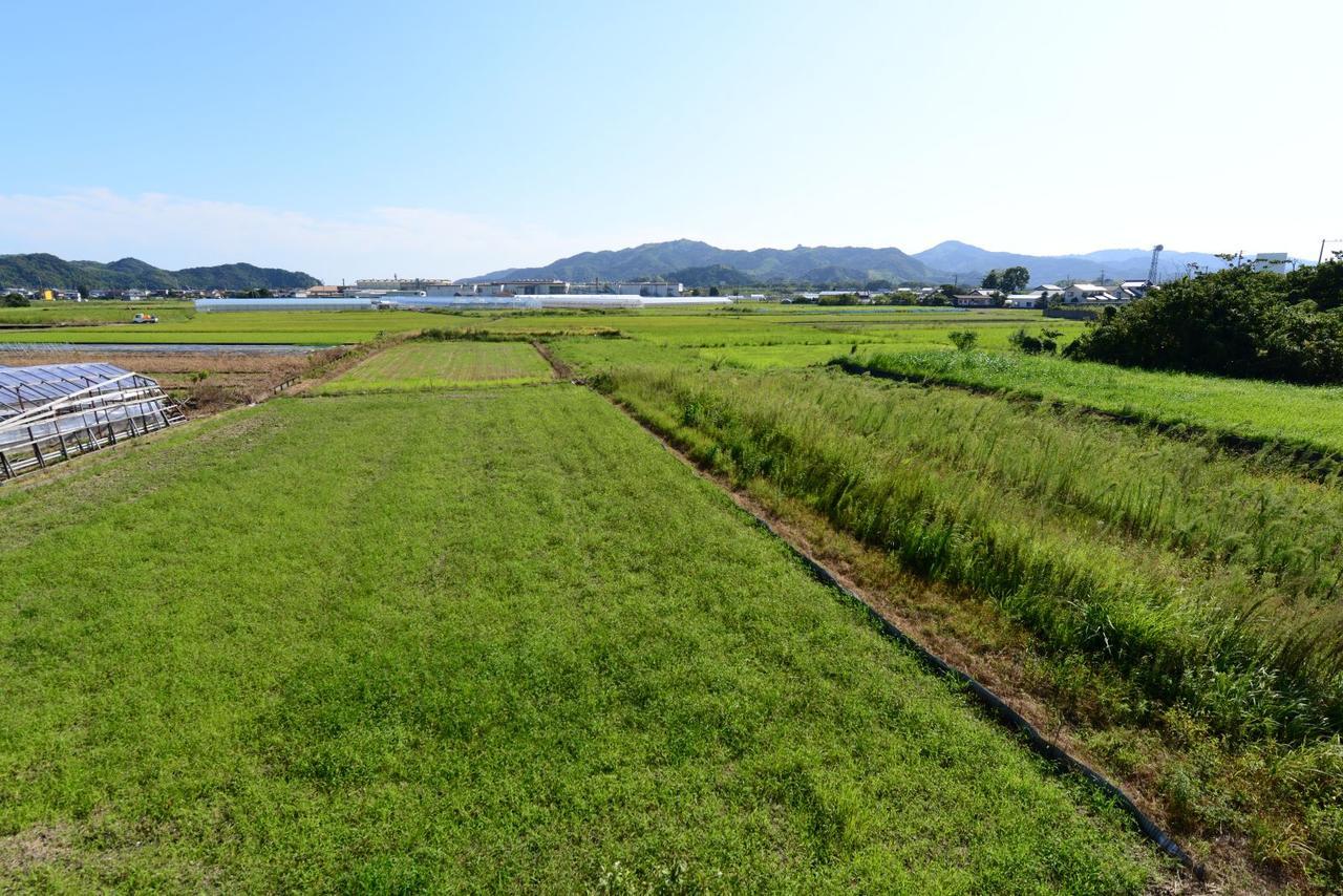 Haruno Guesthouse Kōchi Buitenkant foto